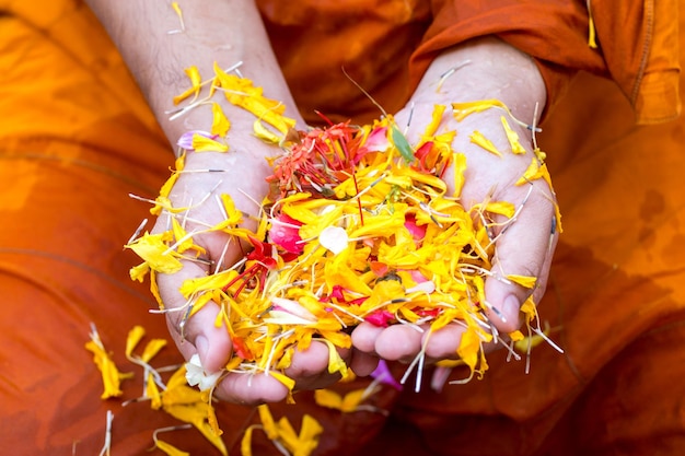 La gente che versa acqua ai monaci buddisti e dà la benedizione in Tailandia Festival annuale Songkran nel tempio buddista