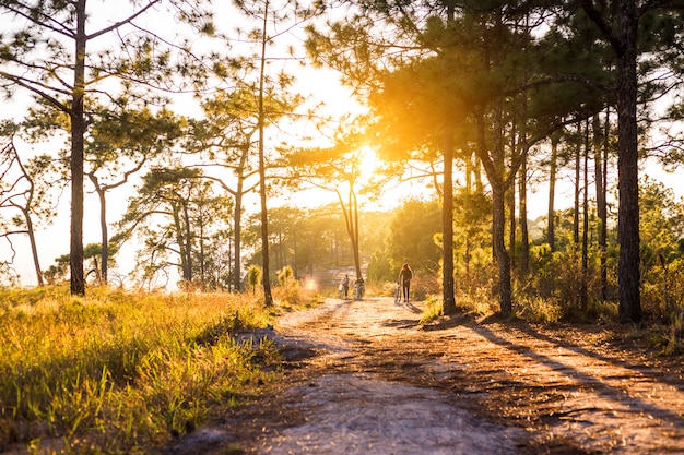 la gente porta la bici lungo il sentiero con il tramonto nella giungla