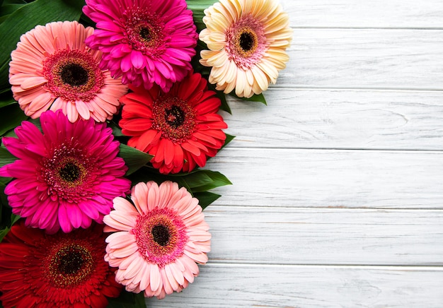 La gerbera luminosa fiorisce su un fondo di legno bianco