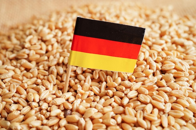 La Germania sull'esportazione del commercio di grano e sul concetto di economia