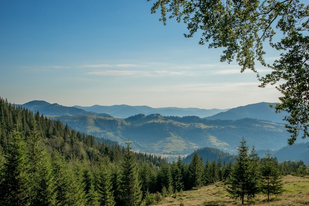 La giornata di sole mattutina è nel paesaggio di montagna