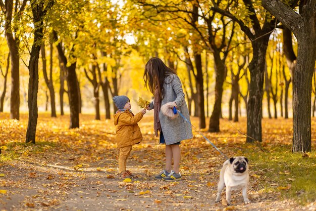 La giovane bella madre trascorre il tempo a fare una passeggiata con il suo amato figlioletto nel parco autunnale. La famiglia felice si gode le giornate autunnali