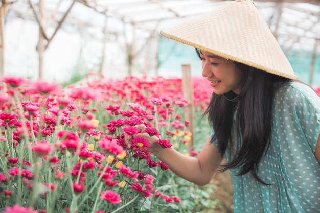 La giovane donna asiatica che lavora nella camomilla fiorisce l'azienda agricola