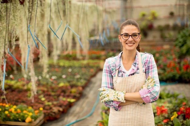 La giovane donna che lavora con la molla fiorisce nella serra
