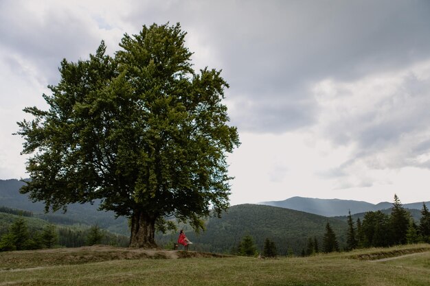 La giovane donna in un vestito rosso si siede sotto un grande albero