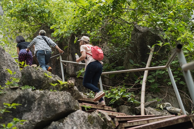 La giovane donna in vacanza o in gita di un giorno esplora una foresta verde