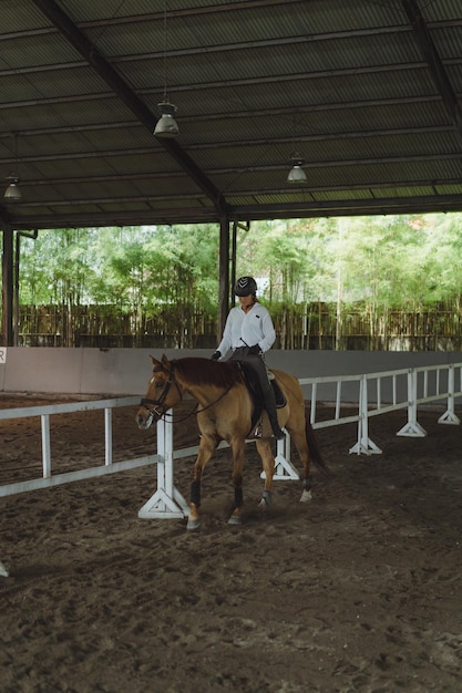 La giovane donna si allena a cavallo nell'arena. Giovane donna caucasica in abbigliamento formale a cavallo attraverso l'arena sabbiosa. Un cavallo di razza per lo sport equestre. La sportiva a cavallo