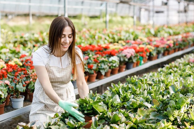 La giovane donna si prende cura dei vasi di fiori in una serra Il concetto di piante in crescita