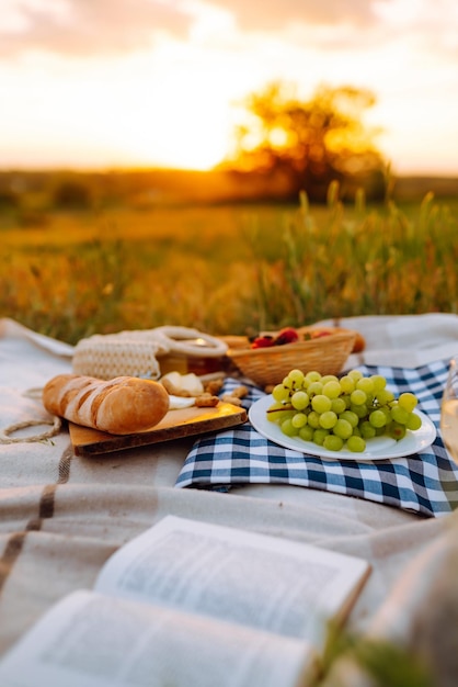 La giovane donna si siede su un plaid con un libro Picnic estivo nella natura Cibo sano