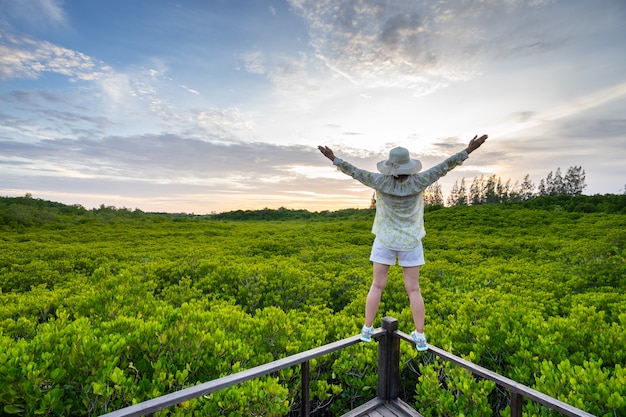 La giovane donna soddisfatta delle mani si alza sul bello paesaggio della foresta della mangrovia con il bello cielo.