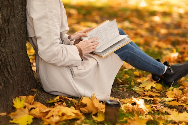 La giovane femmina europea dai capelli rossi in impermeabile legge il libro sedersi vicino all'albero nel parco con foglie gialle