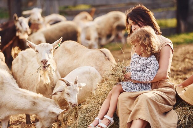 La giovane madre con sua figlia è nella fattoria in estate con le capre