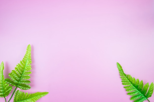 La giungla tropicale lascia il fondo rosa di colore pastello