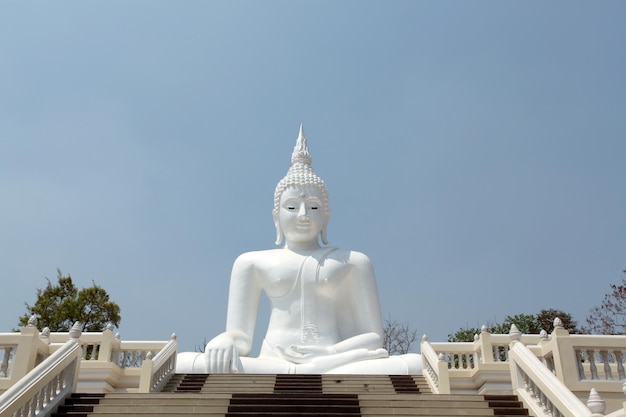 La grande immagine del Buddha bianco è molto bella.