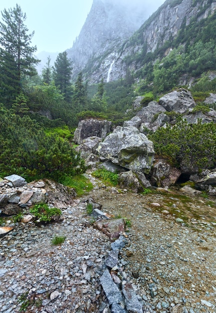 La Grande Valle Fredda (Velka Studena dolina) estate nuvoloso vista. Alti Tatra, Slovacchia.