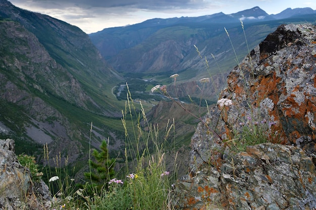 la grandezza e la bellezza dei passi e delle gole dell'Altai la bellezza che fluttua nell'aria