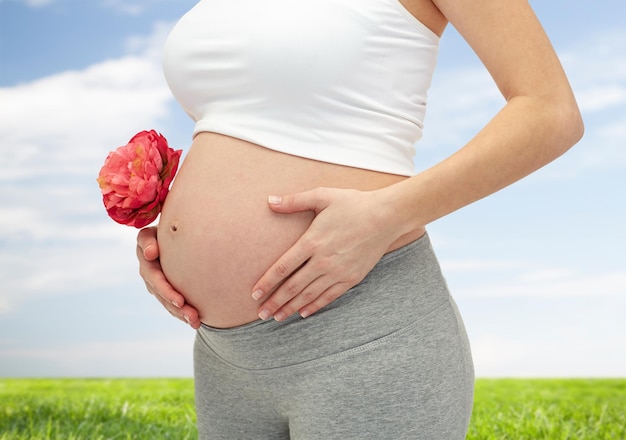 La gravidanza, la maternità, le persone e il concetto di aspettativa - primo piano di una donna incinta felice con un fiore che tocca la sua pancia nuda sopra il cielo blu e lo sfondo dell'erba