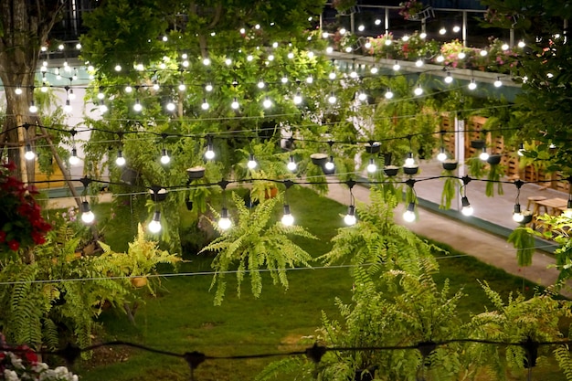 La linea di luce al tungsteno è stata decorata di notte nel giardino del contenitore.