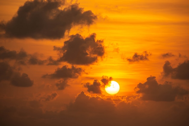 La luce dorata del sole del mattino e le nuvole nel cielo.