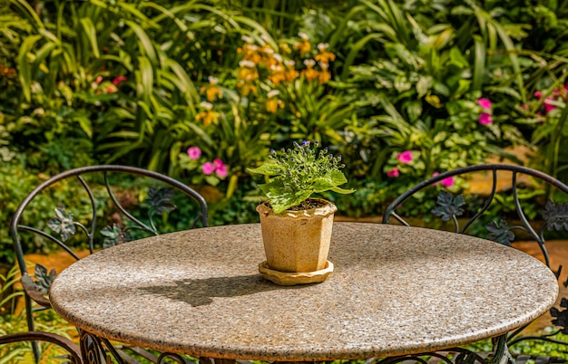 La luce e l'ombra dei tavoli e delle sedie nel giardino fiorito