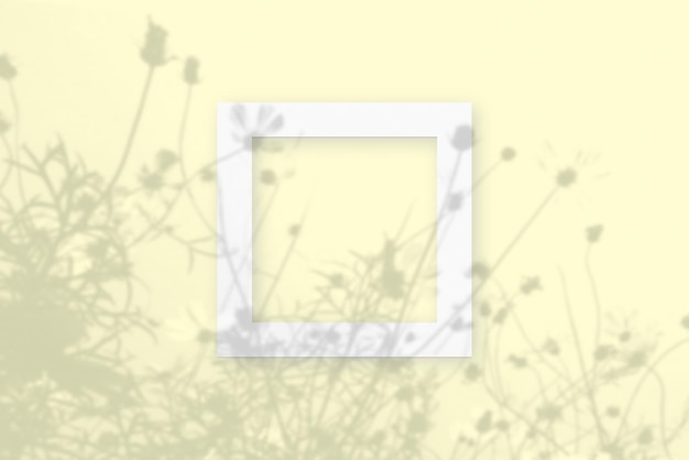 La luce naturale proietta ombre dai fiori di campo su una cornice quadrata di carta bianca testurizzata che giace su uno sfondo giallo Faccina Mock up con una sovrapposizione di ombre vegetali