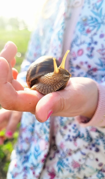 La lumaca è seduta sul braccio del bambino