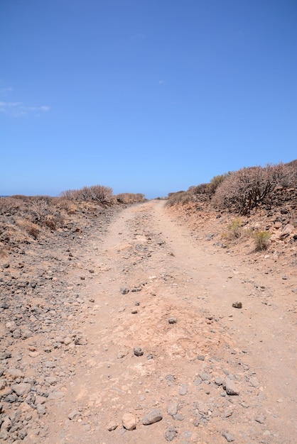 La lunga strada sterrata del deserto scompare nell'orizzonte.