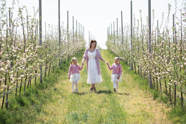 La madre e le sue figlie gemelle si tengono per mano e camminano attraverso un meleto in fiore in primavera