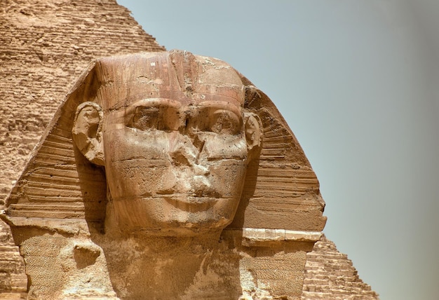 La maestosa scultura della sfinge fa la guardia davanti alle iconiche piramidi di Giza, in Egitto