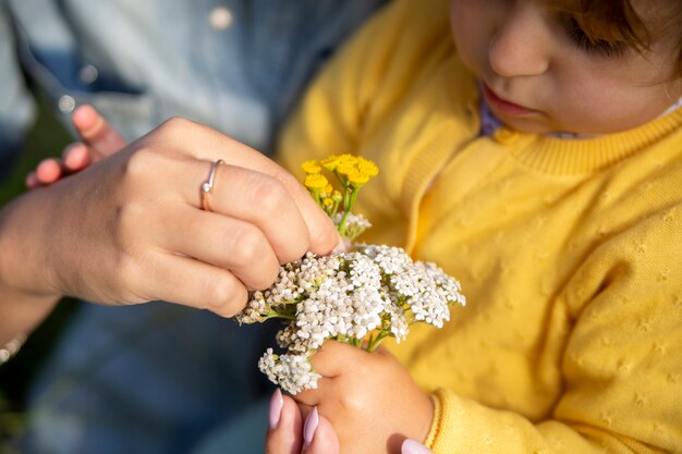 La mamma e la figlia studiano il primo piano dell'achillea dei fiori