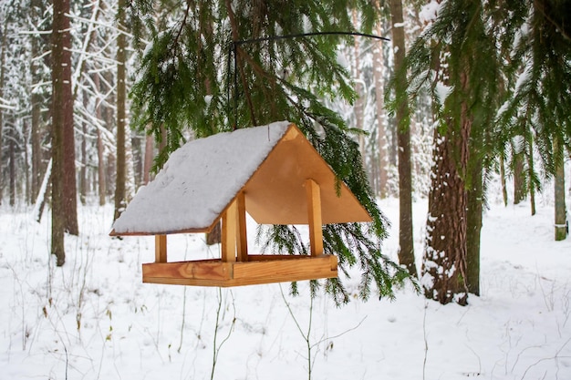 La mangiatoia per uccelli sul ramo ha mangiato sotto la neve sullo sfondo della foresta invernale