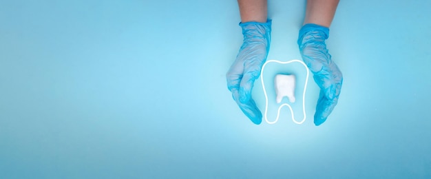 La mano del dentista femminile nei guanti medici blu tiene il molare del dente e Icona del contorno lineare sottile Dente