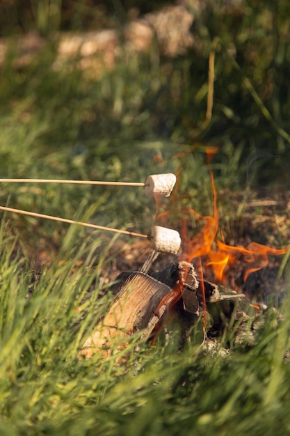 la mano del ragazzo tiene un marshmallow bianco su un bastone sopra un fuoco, frigge marshmallow in natura