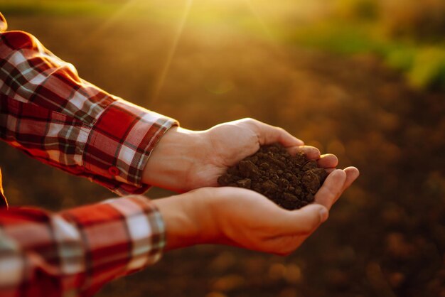 La mano dell'agricoltore esperto raccoglie il terreno e controlla la salute del suolo prima della crescita di un seme di ortaggio