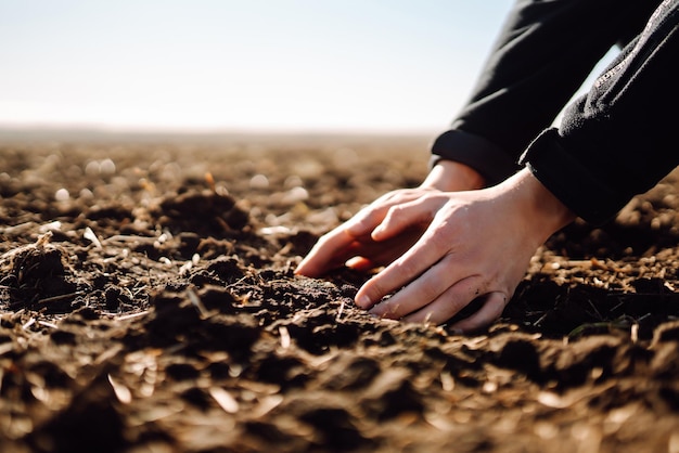 La mano dell'agricoltore esperto raccoglie il terreno L'agricoltore sta controllando la qualità del suolo prima della semina Concetto di ecologia