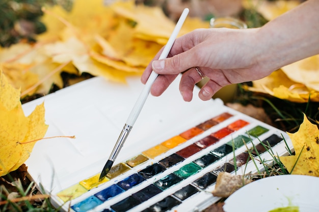 La mano dell'artista con una tavolozza di colori sulle foglie