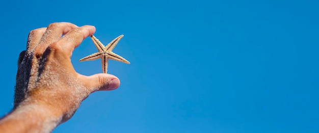 La mano dell'uomo nella sabbia tiene una stella marina contro il cielo blu Banner