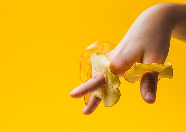 La mano della donna prende una fetta di mela secca rotonda