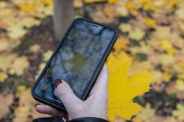 La mano della donna scatta una foto al telefono delle foglie d'autunno