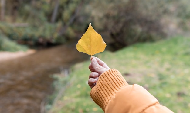 La mano della donna tiene una foglia gialla, concetto di autunno