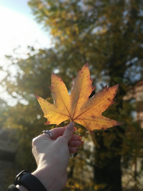 La mano della foglia d'autunno L'umore d'utuno