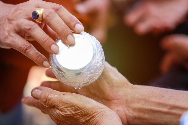 La mano della giovane donna versa l&#39;acqua ed i fiori sulle mani.