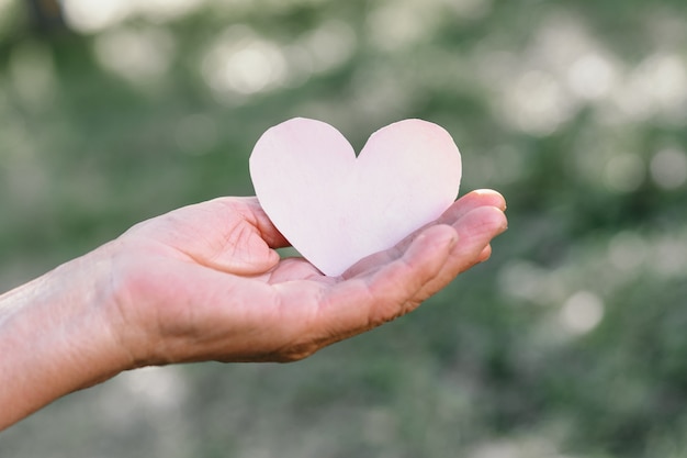 La mano della nonna tiene un cuore