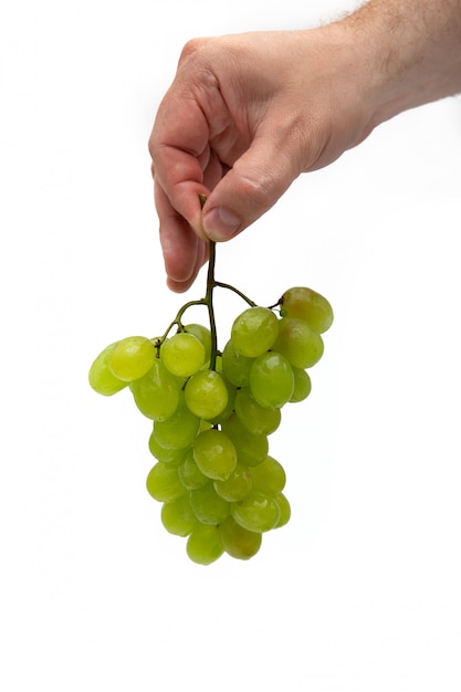 La mano di un uomo tiene un ramo di uva verde con gocce d'acqua in verticale su uno sfondo bianco