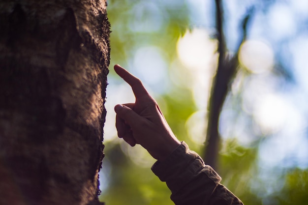 La mano di un uomo tocca il primo piano del tronco d'albero Corteccia legnoLa cura dell'ambiente L'ecologia il concetto di salvare il mondo e amare la natura dall'uomo