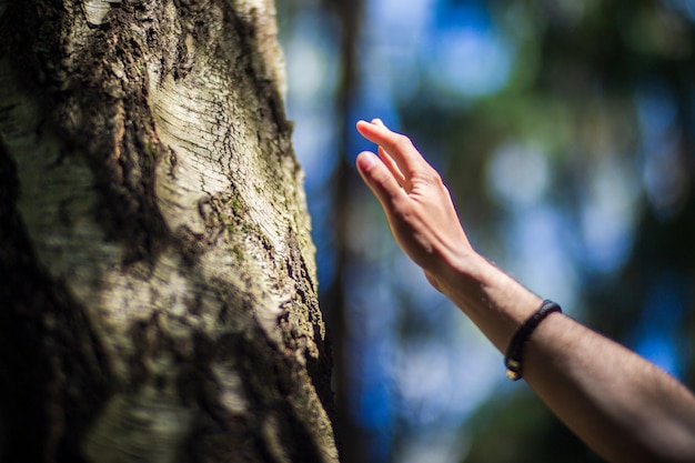 La mano di un uomo tocca il primo piano del tronco d'albero Legno di cortecciaPrendersi cura dell'ambiente Il concetto di ecologia di salvare il mondo e amare la natura da parte dell'uomo