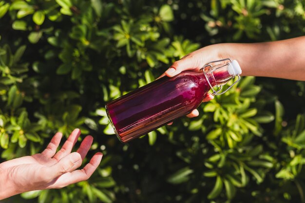 La mano di una donna che dà una bottiglia di vetro di una bevanda nutriente con foglie di piante sullo sfondo