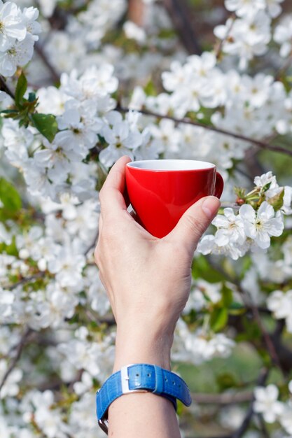 La mano femminile con l'orologio da polso tiene una tazza di caffè in porcellana con un ciliegio in fiore sullo sfondo. Messa a fuoco selettiva sulla tazza