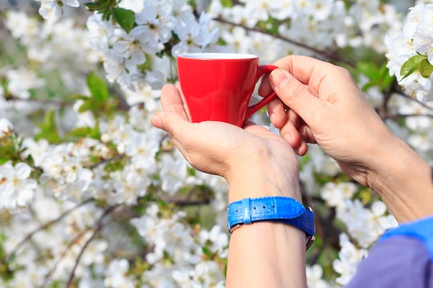 La mano femminile con orologio da polso tiene una tazza di porcellana rossa con un ciliegio in fiore sullo sfondo. Messa a fuoco selettiva sulla tazza.