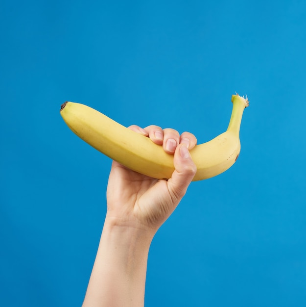 La mano femminile tiene una banana matura gialla